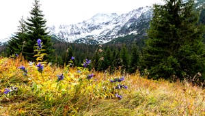 Javorová dolina. Miesto, ktoré pohľadí vašu dušu