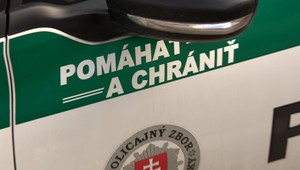 Šofér v Košiciach zrazil na priechode dve deti