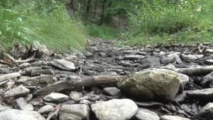 Extrémne horúčavy spôsobili aj vysychanie lesných potôčikov a studničiek