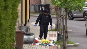 Okrem detskej ruky našli ďalšie časti tela. Súd poslal 35-ročnu ženu do väzby