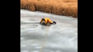 VIDEO: Dramatická záchrana psa. Ľad sa prepadol aj pod hasičom