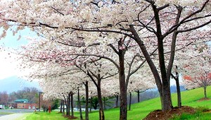 Astronomická jar sa začala. Pozrite sa, čo nás čaká