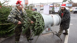 Stromčeky aj kapre už v predaji. Ale aj tie zdraželi...