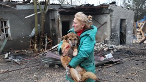 1443. deň na Ukrajine: Rusi zasiahli psí útulok. Na mieste je mnoho mŕtvych zvierat