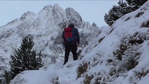 Vzácne lesy v ohrození: ochranári kritizujú novú zonáciu národných parkov