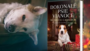 Zázraky naozaj existujú, stačí len veriť... Vychutnajte si Dokonalé psie Vianoce
