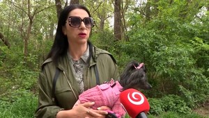 Brutálne útoky psov: Medzi obeťami je aj pes Nory Kabrheľovej