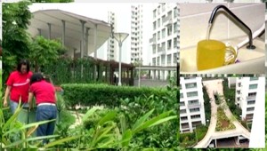 Zelený Singapur. Tipy, ako šetriť energiou