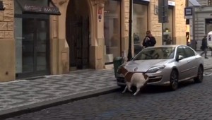 VIDEO: V uliciach behal cap, utiekol z vianočných trhov