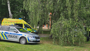 Študent pred školou v Pardubiciach dobodal dievča, súd ho vzal do väzby