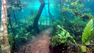 Prívalový dážď premenil brazílsku rezerváciu na podvodný park