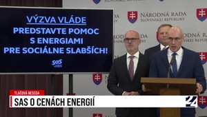 Tlačová beseda strany SaS o cenách energií