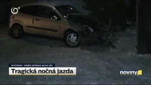 Pri nehode zomrel mladík, v aute viezol priateľku