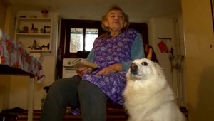 Verný psík ochránil svoju 80-ročnú majiteľku pred zlodejkou