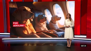 Svet 24 o psích aerolinkách, ale aj o mikrorobotoch proti rakovine