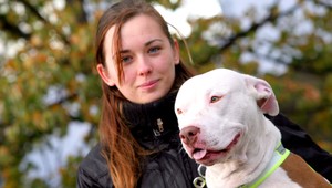 Agresívne pitbully. Na Petra vraj útočia pravidelne