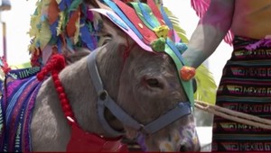 Po tvrdej drine si konečne vydýchli. Somáre oslavovali Sviatok práce