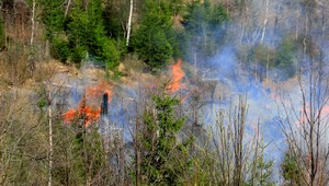 Požiar vo Vysokých Tatrách, horelo 50 hektárov