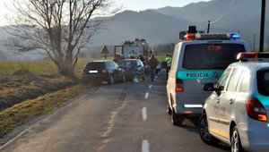 Elena (†75) neprežila čelnú zrážku s luxusným autom