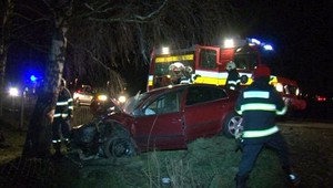 Opitý vodič (22) mal v krvi 2 promile alkoholu. Autom vletel do stomu