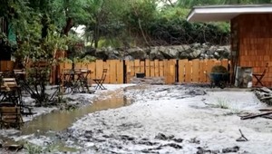 VIDEO: Stovky dobrovoľníkov zvládlo nemožné. Brány bratislavskej ZOO sa čoskoro opäť otvoria