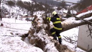 Silný vietor zhodil strom na dom. Vytrhol ho aj s koreňmi