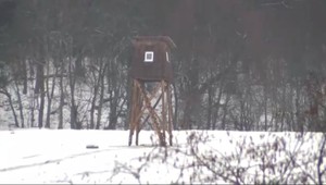 Pred poľovnícky posed niekto nastražil usmrtené psy. Mali byť návnadou pre šelmy