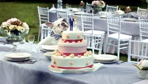 Myslite na svoj život - poistite sa aktuálne so zľavou 30 percent