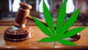 Akcia Kakavko odhalila dílera so štvrť kila marihuany