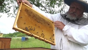 Včelár upozorňuje na falošný med na trhu. Ako rozoznáte jeho kvalitu?