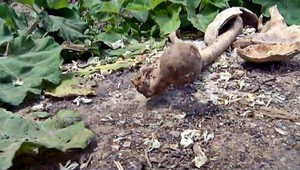 Olomouc zažil mrazivú noc. Voda z prasknutého potrubia vyplavila ľudské kosti