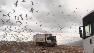 Európsky parlament chce prísnejšie posudzovať odpadové hospodárstvo