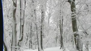 Lovci zachránili život dvom chlapcom. Namiesto medaily dostali nečakaný dar