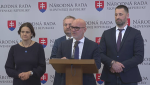 Tlačová beseda strany SaS: Ako zastaviť infringement