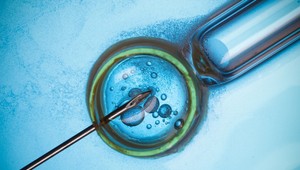 Žena vymenila spermie svojho manžela za milencove. Jej muž o ničom netušil