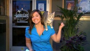 Reportérka vysielala a... Všetko prerušila mačka!