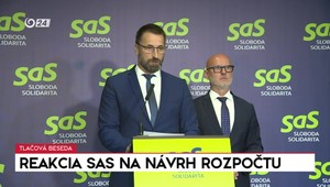 Tlačová beseda strany SaS : Reakcia na štátny rozpočet