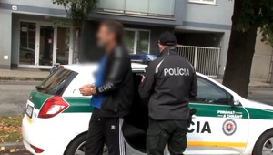 Vodič, ktorý pri kontrole namiesto dokladov vytiahol fľašu vodky, sa postavil pred sudcu