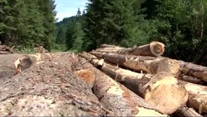 Prevrátený traktor zavalil muža. Záchranári mu už nedokázali pomôcť