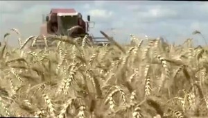 Z ukrajinského obilia je opäť politická téma. Tranzit problém nie je, predaj áno