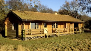 Právnik radí. Syn sa nestará o Etelu (82), chce späť svoj dom