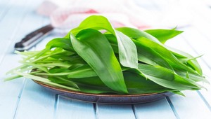 Chcete z medvedieho cesnaku vyskúšať niečo nové? Rýchle domáce gnocchi podľa Pyca budete milovať!