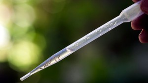 Závislosť je pozostatok po virálnej infekcii, tvrdia vedci