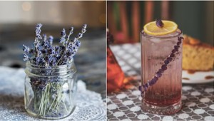 Na čo všetko sa dá použiť LEVANDUĽA? Toto by vám v kuchyni ani nenapadlo!