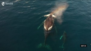 Svet 24 o dovolenkovej pohľadnici či o bicyklovaní počas vyučovania