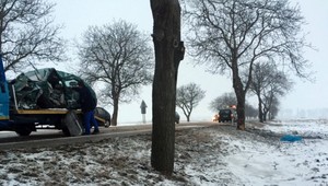 Auto vrazilo do stromu, vodič (†60) zomrel