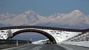 Mária po hromadnej nehode na D1: Kto to nezažil, nikdy to nepochopí