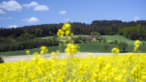 Búrky, teplo, slnko. To nás čaká v stredu