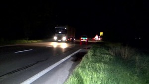 Jar láka zvieratá k okoliu ciest, často skrížia cestu vodičom