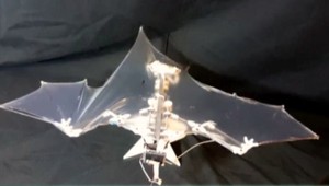 Robotická veda  sa inšpiruje prírodou, napodobnili netopiera